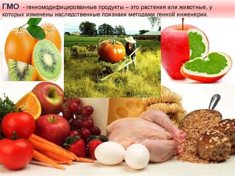 Генетически модифицированные организмы в пищевых продуктах: что это?