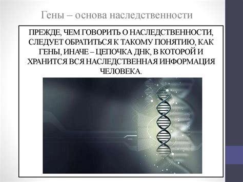 Гены и хромосомы: носители наследственной информации