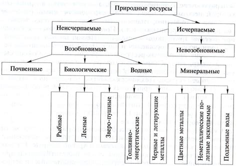 Географические особенности и природные ресурсы