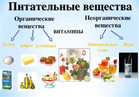 Гиповитаминоз и дефицит питательных веществ