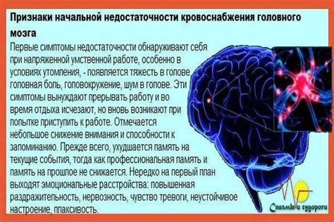 Главные причины сужения сосудов головного мозга