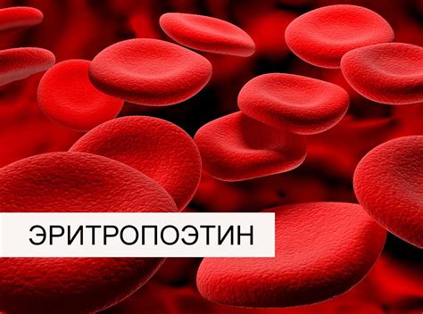 Гормон эритропоэтин в организме женщин