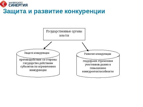 Государственная поддержка в защите интересов