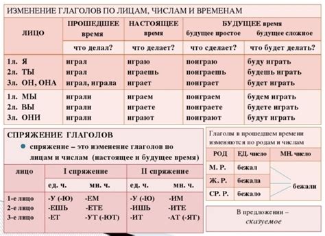 Грамматическое лицо и число в глаголе