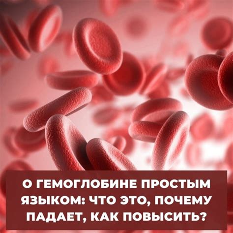 Грубые нарушения обмена веществ: почему падает гемоглобин