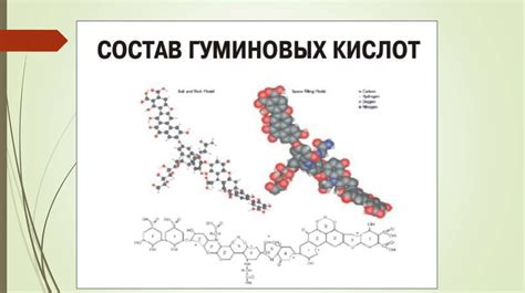 Гуминовые кислоты: основные свойства и значение