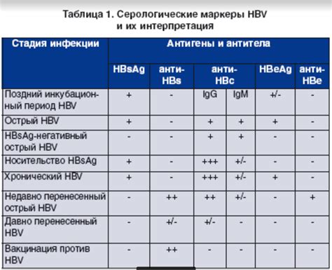 Дальнейшие шаги при положительном результате анти HCV