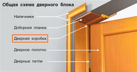 Дверное полотно и дверная коробка