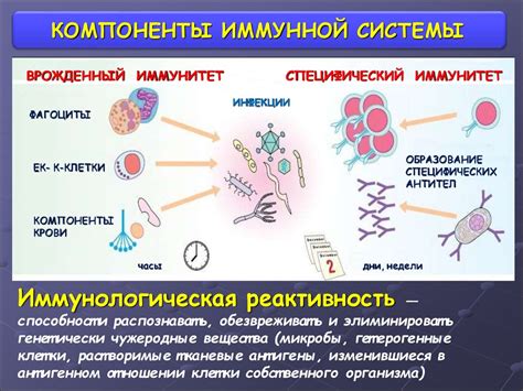 Дезорганизация иммунной системы