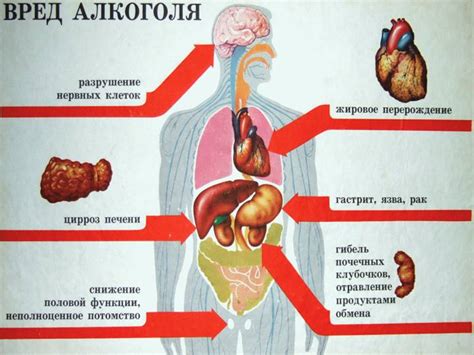 Действие Дерината на организм