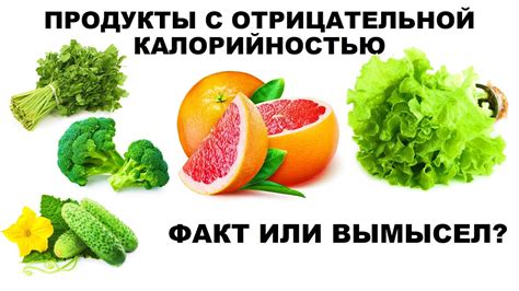 Действие продуктов с отрицательной калорийностью