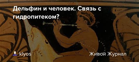 Дельфин и его связь с эмоциями