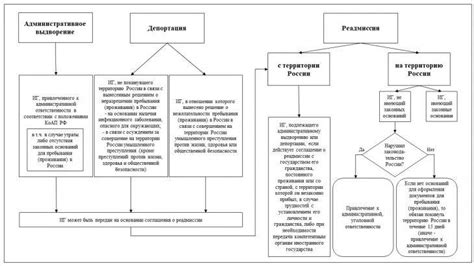 Депортация и выдворение: различия и сходство