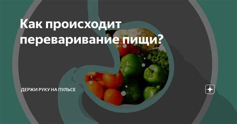 Держи руку на пульсе: значение фразы и ее происхождение