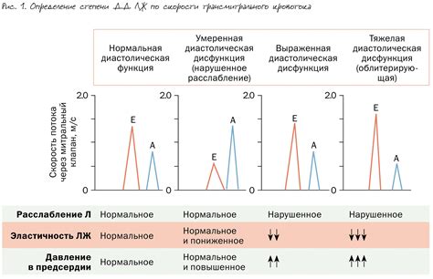 Диагностика диастолической дисфункции левого желудочка