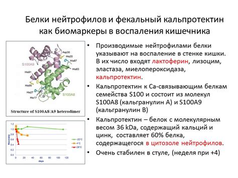 Диагностика и анализ кальпротектина фекального