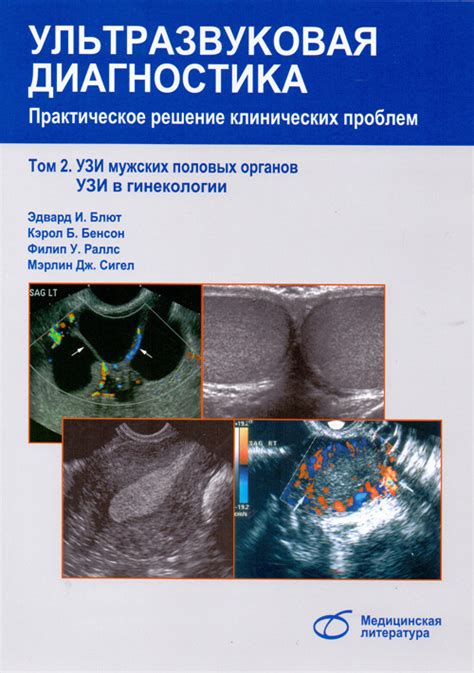 Диагностика и лечение мужских половых нарушений