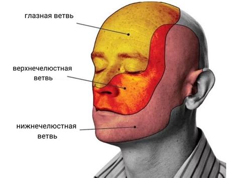 Диагностика и обследование при невралгии