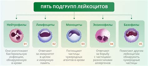 Диагностика отклонений от нормы у детей