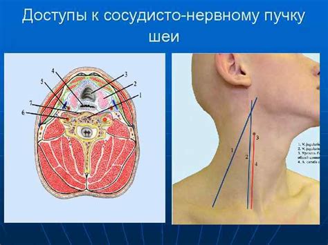 Диагностика хруста шеи