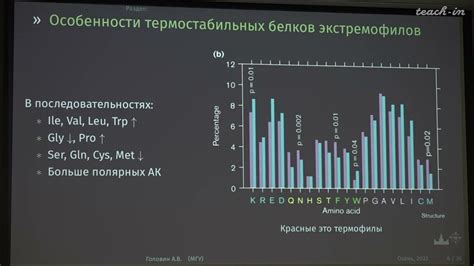 Дизайн амортизации и стабильности