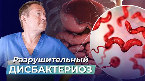 Дисбактериоз как фактор вздутия живота