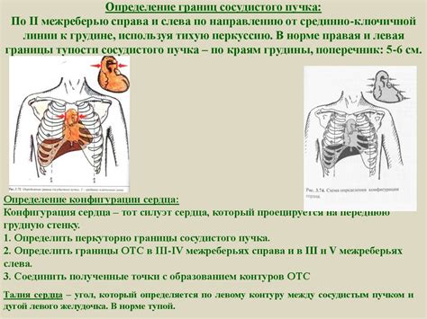 Дисфункция сердца: определение и типы