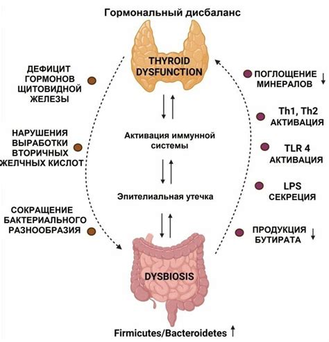 Дисфункция щитовидной железы и ее связь с размерами носа у плода