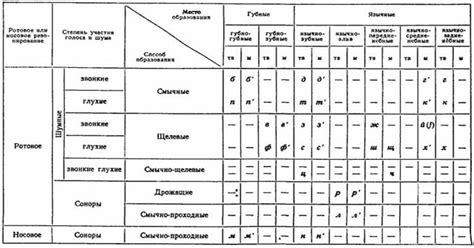 Дифференциация звуков в логопедии: основные принципы и таблицы