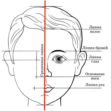 Добавление деталей лица и ушей