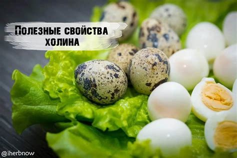 Дозировка холина для детей