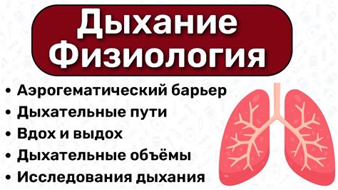 Долгосрочные последствия детского глубокого вдоха и профилактические меры