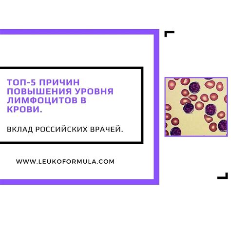 Дополнительные исследования для уточнения причин повышенного уровня лимфоцитов 13 у взрослых