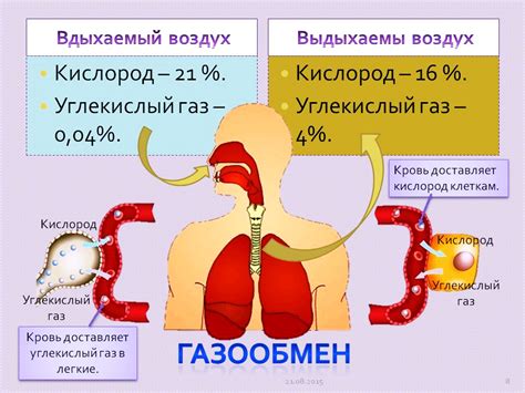 Дополнительные компоненты выдыхаемого воздуха