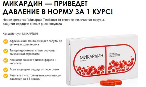 Дополнительные компоненты микардина