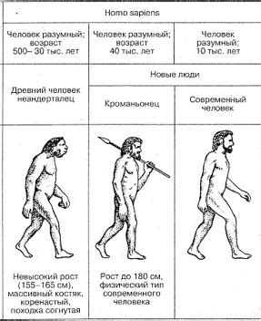 Дорн: определение и происхождение