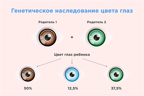 Единение генов: главное условие для изменения цвета глаз