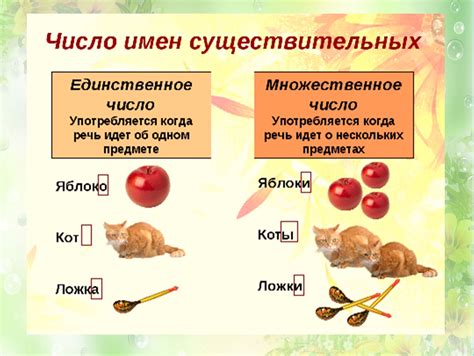 Единственное и множественное число