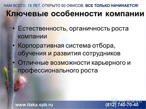 Естественность и органичность