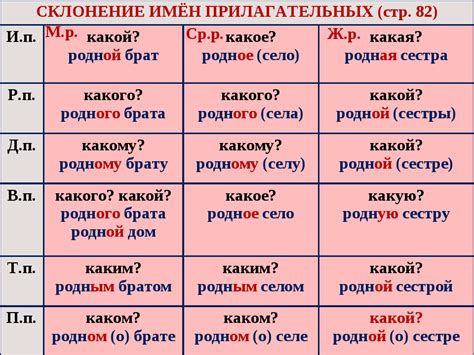 Женский род в русском языке: особенности