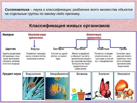 Живая природа: классификация живых организмов