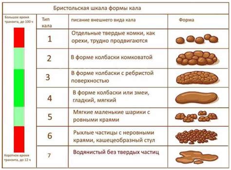 Жидкий стул - что это и почему возникает