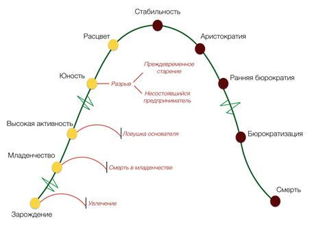 Жизненный цикл