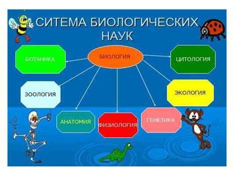 Жизнь в биологии: общее понятие и признаки