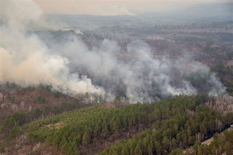 Жители Рязани жалуются на задымление от розжига в роще