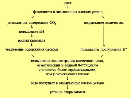 Зависимость снов от внешних факторов