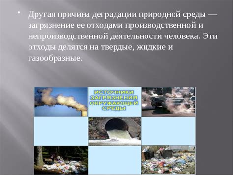 Загрязнение окружающей среды: третья причина современного экологического кризиса