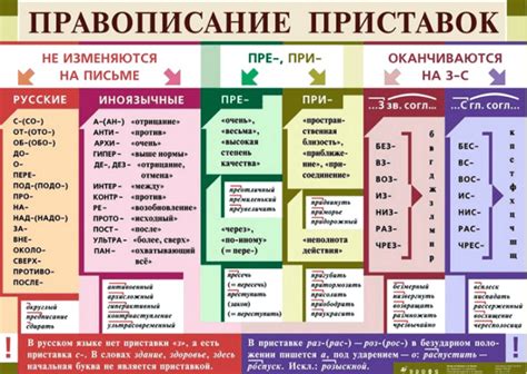 Заимствованные приставки: примеры из современного русского языка