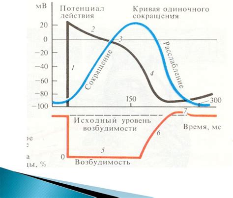 Закон градиента Гаскелла и его работа