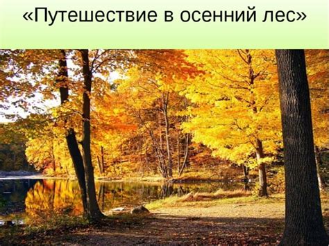 Закрепление и систематизация